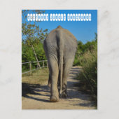 Elephant Jungle Sanctuary Postkarte (Vorderseite)