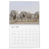 Elephant Kalender (Mär 2026)