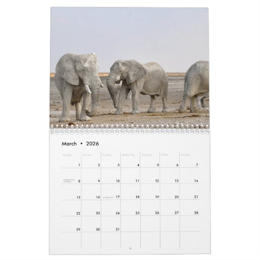 Elephant Kalender (Mär 2026)