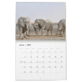 Elephant Kalender (Mär 2027)