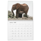 Elephant Kalender (Jan 2027)