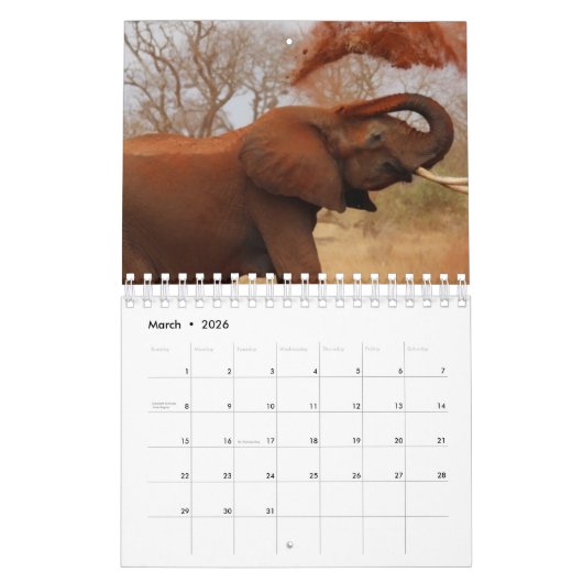 Elephant Kalender (Mär 2026)