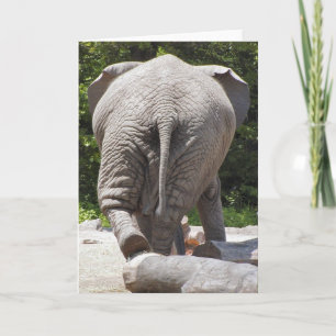 Elephant Karte