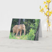 Elephant Karte (Gelbe Blume)