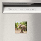 Elephant Kühlschrank Magnet (In Situ (Geschirrspüler))