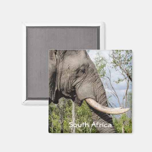 Elephant Kühlschrankmagnet - Südafrika (Vorderseite/Rückseite)