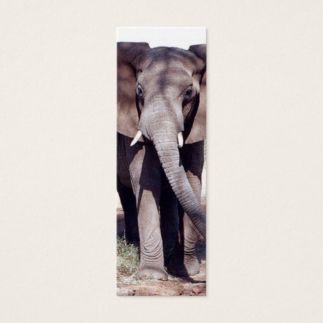 Elephant Lesezeichen (Vorderseite)