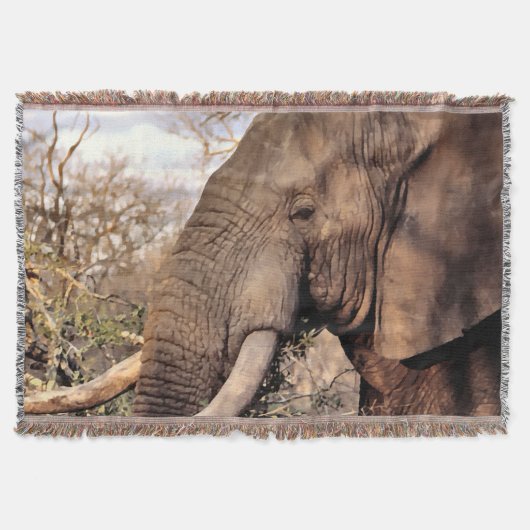 Elephant Lover Art Decke (Vorderseite)