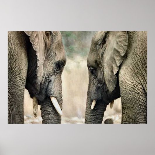 Elephant Lovers Art Gifts Poster (Vorne)