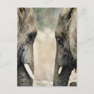 Elephant Lovers Art Gifts Postkarte
