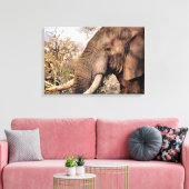 Elephant Lovers Art Leinwanddruck (Insitu (Wohnzimmer))