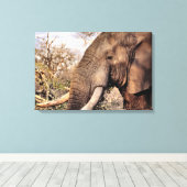 Elephant Lovers Art Leinwanddruck (Insitu (Holzboden))