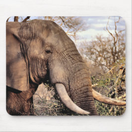 Elephant Lovers Art Mousepad
