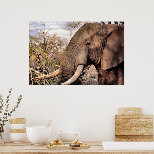 Elephant Lovers Art Poster (Küche)