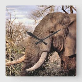 Elephant Lovers Art Quadratische Wanduhr