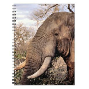 Elephant Lovers Wildlife Notizblock