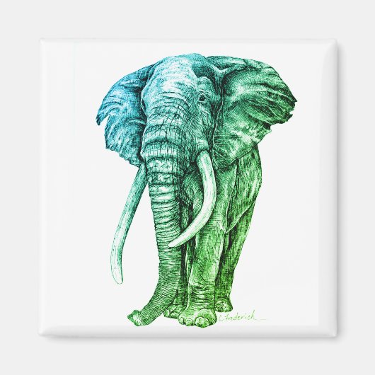 Elephant Magnet (Vorne)