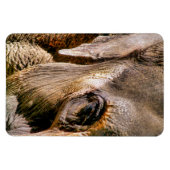 ELEPHANT MAGNET (Horizontal)