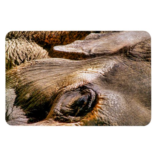 ELEPHANT MAGNET (Horizontal)