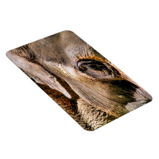 ELEPHANT MAGNET (Rechte Seite)