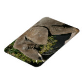 Elephant Magnet (Linke Seite)