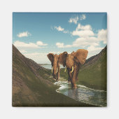 Elephant Magnet (Vorne)