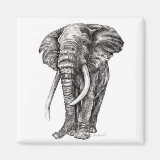Elephant Magnet