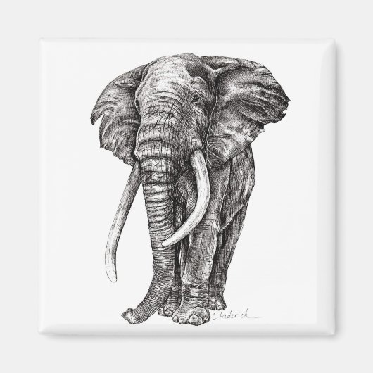 Elephant Magnet (Vorne)