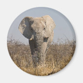 Elephant Magnet (Vorne)