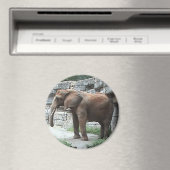 Elephant Magnet (In Situ (Geschirrspüler))