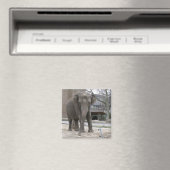 ELEPHANT-Magnet Magnet (In Situ (Geschirrspüler))