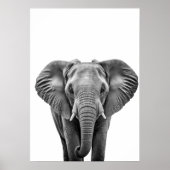 Elephant Modern Black White Poster (Vorne)