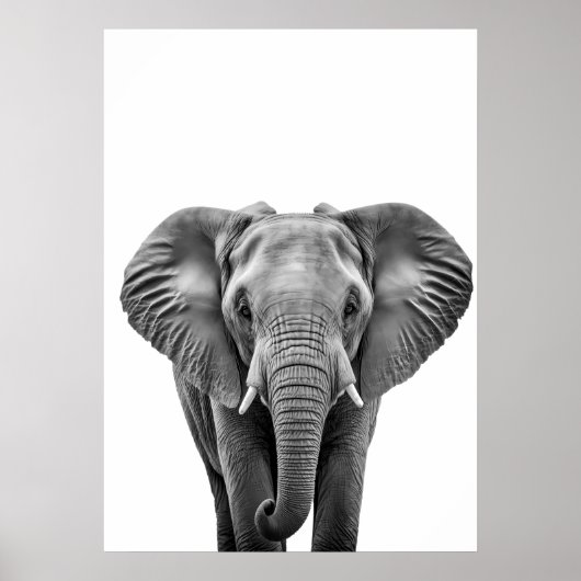 Elephant Modern Black White Poster (Vorne)