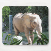 Elephant Mousepad (Vorne)