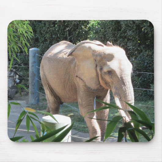 Elephant Mousepad (Vorne)