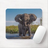Elephant Mousepad (Mit Mouse)