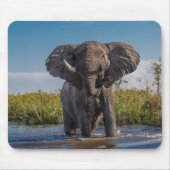 Elephant Mousepad (Vorne)