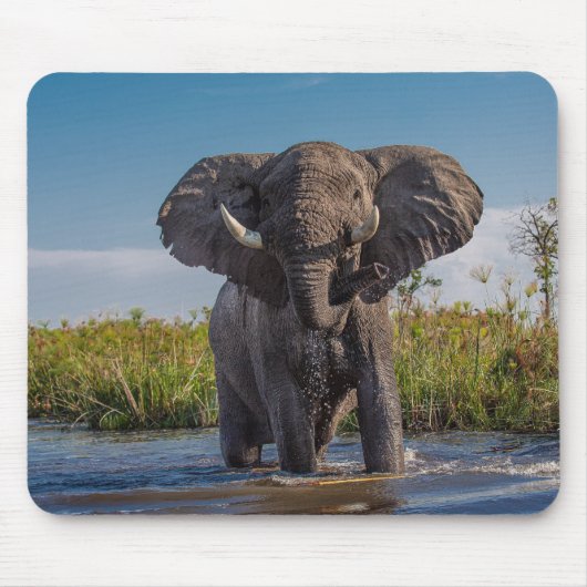 Elephant Mousepad (Vorne)