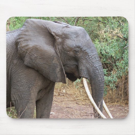Elephant Mousepad (Vorne)
