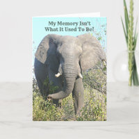 ELEPHANT/MY GEDÄCHTNIS IST NICHT, WAS ES