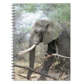 Elephant-Notebook Notizblock (Vorderseite)