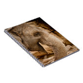 ELEPHANT NOTIZBLOCK (Rechte Seite)