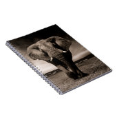 Elephant Notizblock (Rechte Seite)