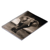 Elephant Notizblock (Linke Seite)