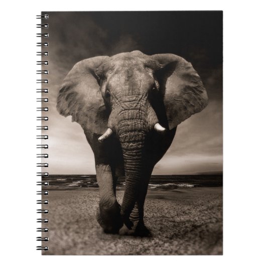 Elephant Notizblock (Vorderseite)