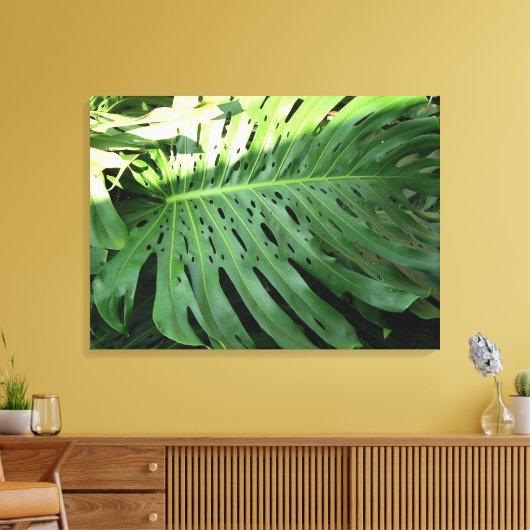 Elephant Ohr Pflanze Canvas Print Leinwanddruck (Insitu (Wohnzimmer))