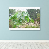 Elephant Ohr Pflanze Leinwanddruck (Insitu (Holzboden))