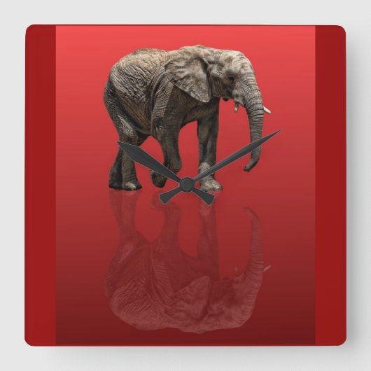 ELEPHANT ON RED QUADRATISCHE WANDUHR (Vorderseite)