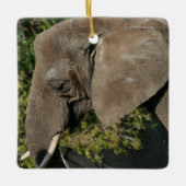 Elephant Ornament (Vorderseite)