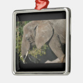 Elephant Ornament (Links)